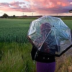 Kvinna med paraply framför sädesfält